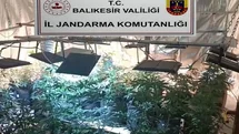 Balıkesir'de Uyuşturucu Operasyonu