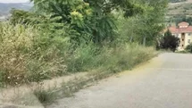Bilecik'te Yılan Korkusu Başladı