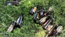 Bilecik'te Piknikçilerin Çevre Kirliliği Sorunu