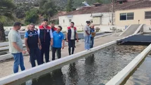 Bozdoğan'da Su Ürünleri Üretimi Artıyor