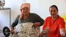 Muğla'da İpek Böcekçiliği Gelişiyor
