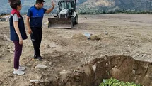 Bozdoğan’da hastalıklı ilekler imha edildi