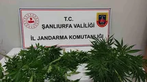 Hilvan’da uyuşturucu ele geçirildi
