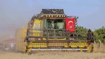 Vali Akkoyun: ’’Mardin’de 1 milyon 279 bin dekarlık alanda buğday ekimi yapıldı’’