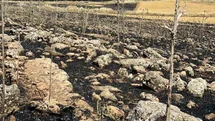Diyarbakır'da Yangın Faciası