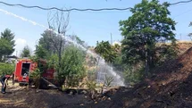Siirt'te Yangın Paniği Yaşandı