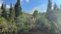 Marmaris’te yıldırım kaynaklı orman yangını