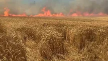 Tekirdağ'da Yangın Felaketi