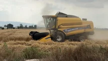 Osmaniye'de Buğday Hasadı Başladı