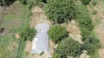 Sakarya'da Dron Destekli Uyuşturucu Operasyonu