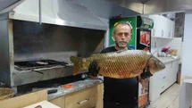 Bilecik’te dev sazan balığı yakalandı