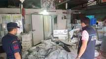 Antalya’da avlanması ve satışı yasak olan 603 kilogram balığa el konuldu