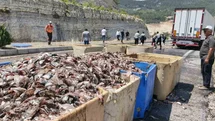 Mersin'de Tırın Dorsesi Patladı