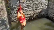 Malatya'da Gebe İnek Kurtarıldı