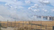Silivri'de Otluk Alanda Yangın Çıktı