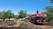 Malatya'da Orman Yangınları Kontrol Altında
