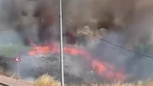 Darıca'da Boş Arazide Yangın Çıktı