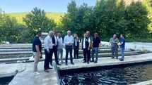 Muğla'da Alabalık Sektör Toplantısı
