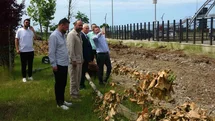 Giresun'da Mega Proje Tamamlanıyor