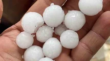 Dolu yağışı ekili alanlara zarar verdi
