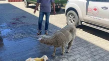 Erzincan'da Doğum Zamanında Kurtarıldı
