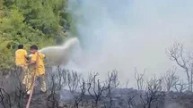 Muğla’da yıldırım kaynaklı 2 orman yangını
