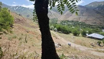 Elazığ'da Arı Oğulu Olayı