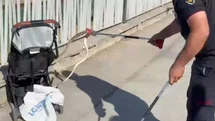 Şanlıurfa'da Bebek Arabasına Yılan Düştü