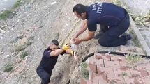 Çorum'da Yavru Kedi Kurtarıldı