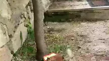 Erzurum'da Sincapla İlginç Diyalog