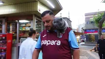 Trabzon'da Kayıp Kedi Tom Bulundu