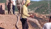 Siirt'te Yangın Kontrol Altına Alındı