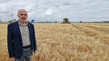 Karaman'da İlk Arpa Hasadı Yapıldı