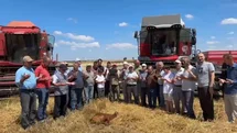 Edirne'de Buğday Hasadı Başladı