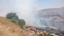 Mardin'de Orman Yangınına Müdahale
