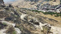 Mardin’de Orman Yangını Kontrol Altına Alındı