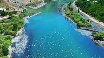 Elazığ'da Martıların Görsel Şöleni