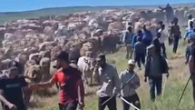 Muş'ta Arazi Kavgası Yaralılar Var