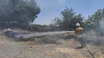 Hassa'da Otluk Alanda Yangın Çıktı