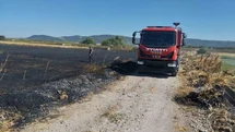 Balıkesir Gönen'de Buğday Tarlasında Yangın