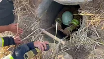 Hatay'da Koyun Kurtarma Operasyonu