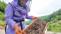 Doğaya aşık üretici kadının başarı hikayesi