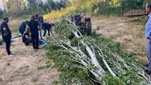 Isparta’da kestiği ağacın altında kalan adam hayatını kaybetti