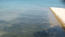 Didim'de Deniz Suyu Kalitesi Yükseldi
