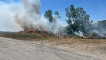 Tekirdağ'da Otluk Yangını Kontrol Altına Alındı