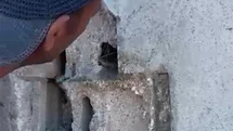 Kars'ta Kuş Yavrularını Kurtaran Usta