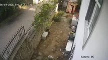 Kocaeli'de Karganın Yumurtalı Hırsızlığı