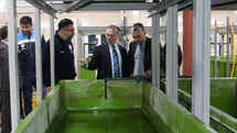Bolu'da Abant Gölü'ne 100 Bin Alabalık Salındı