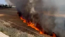 Şanlıurfa'da Tarım Arazisinde Yangın