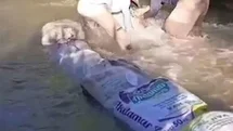 Yüksekovalı Çiftçiler Su İçin Mücadele Ediyor